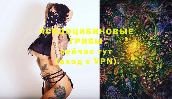2c-b Лабытнанги