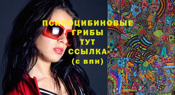 крисы Ладушкин