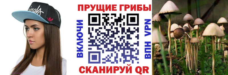 Галлюциногенные грибы Magic Shrooms  Любань 